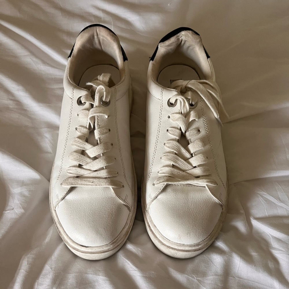 steve madden sneakers